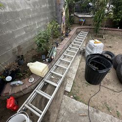 24 Ft Ladder 
