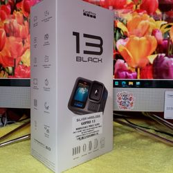 CAMARA GOPRO 13