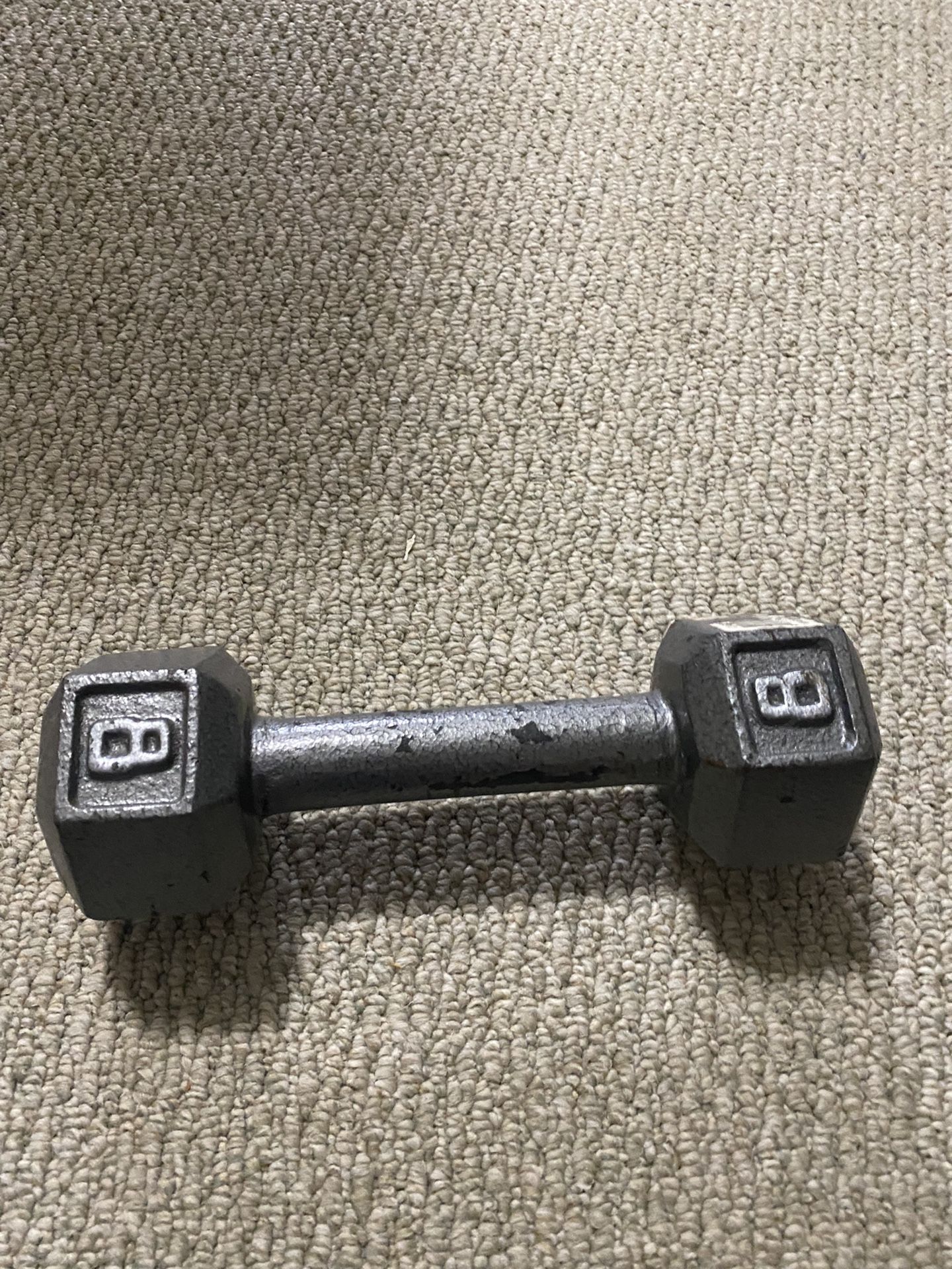 Single 8lb Dumbbell