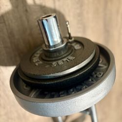 Triceps Bar With Vintage Cast Iron Weight Plates  25s  Plus  10s And  5s [ Total Weights: 100 lbs]