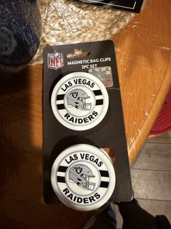 Magnetic bag clips
