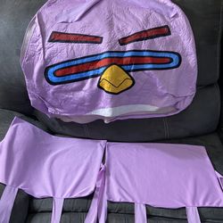 Angry Birds Purple Costume