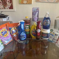 Big Home Cleaning Lot – Over $55 Value – All New