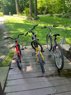 3 Bikes