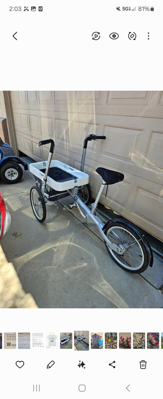 Taga Family Bike