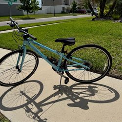 Trek WSD hybrid bike!