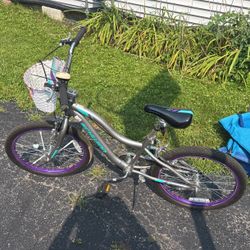 Girls Bike 20 Inch Schwinn