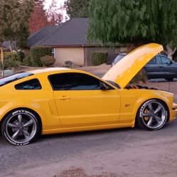 2005 Gt Mustang 