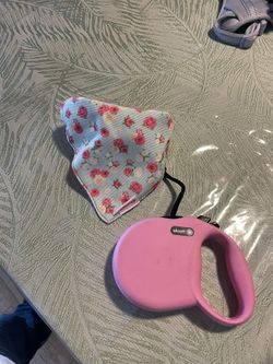 Alcott Retractable Dog 🐶 Leashe For Small Dog