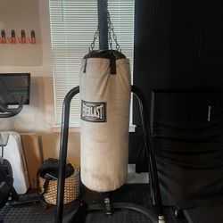 Everlast Punching Bag with Stand 