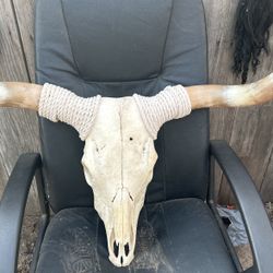 Cabesa De Toro Para Adorno