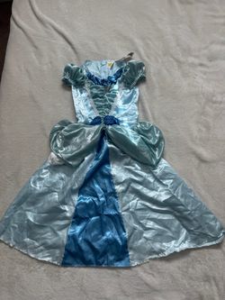 Cinderella costume