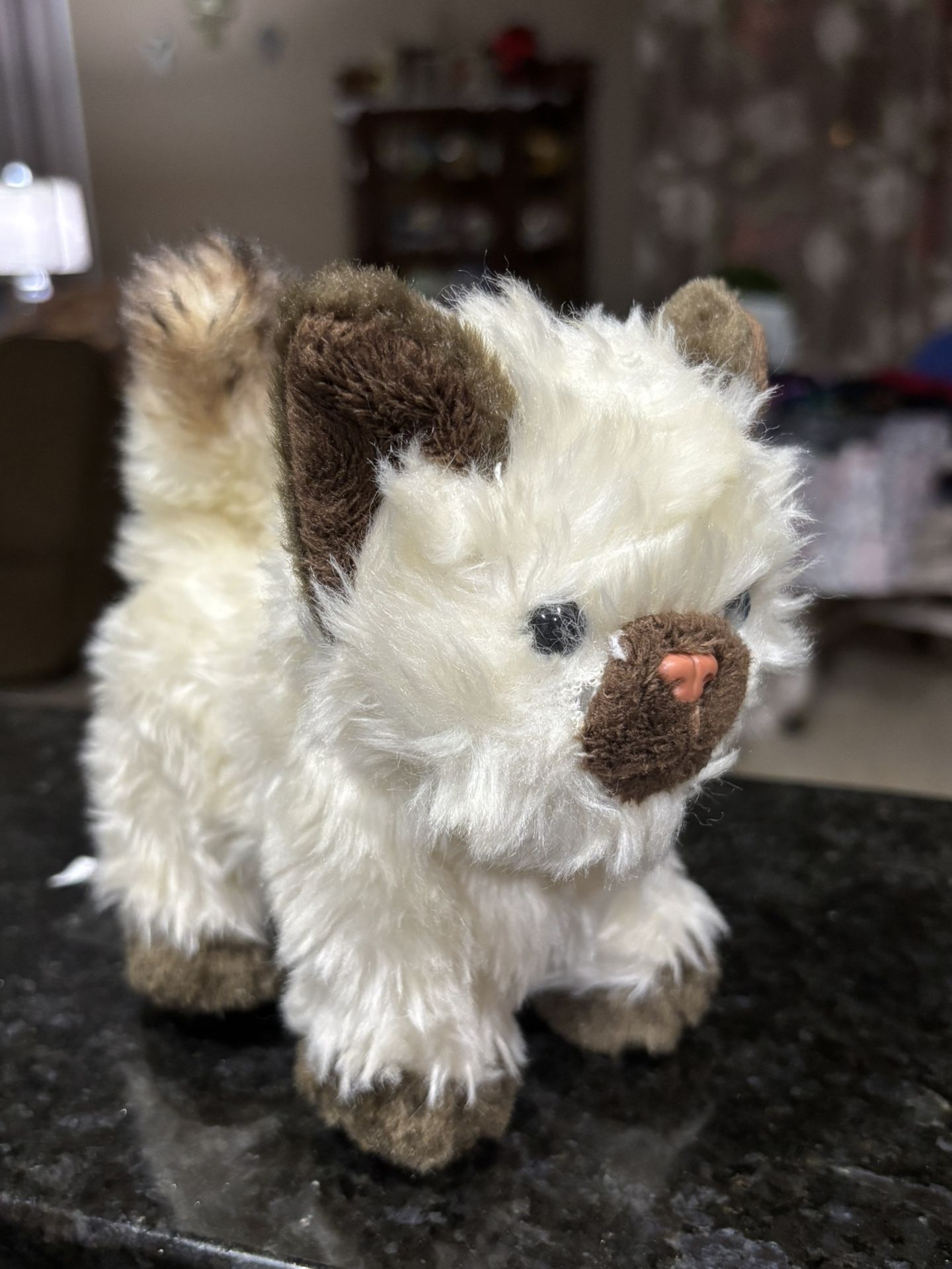 American Girl Kitten