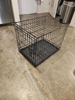 Misc Dog crate food leashes bowls