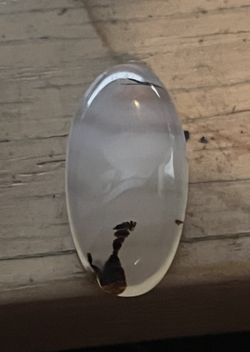 MONTANA MOSS AGATE
