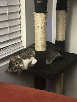 Hand Painted Cornucopia & Candy Jar 