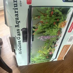 55 Gallon Aquarium Tank