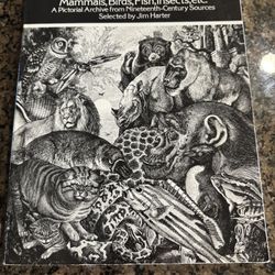 Animal book of illustrations from 1419 by Jim Harter