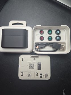 Sony True Wireless WF-1000XM6  Earbuds with Charging Case