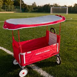 3-in-1 EZ Fold Wagon with Canopy