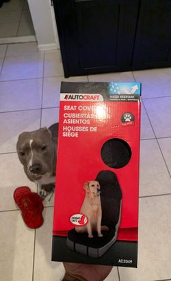 Dog seat cover