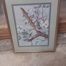 White Breasted Nuthatches Framed Print By Basil Ede