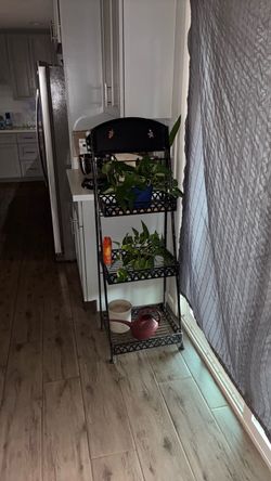 Black Metal 3-Tier Plant Stand ****PLANTS INCLUDED