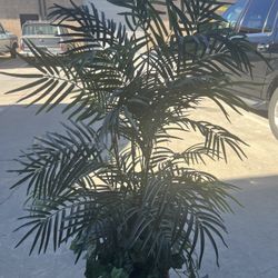 Artificial Palm Tree