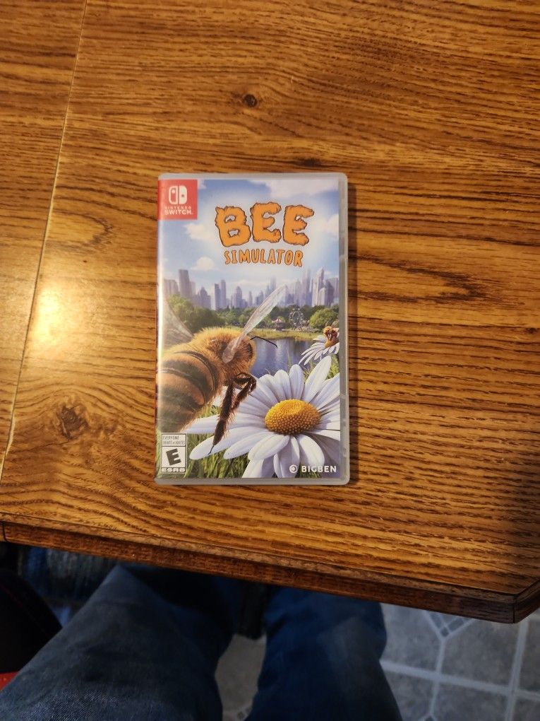 Nintendo Switch Game