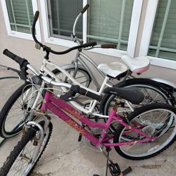 Beach cruiser bike 