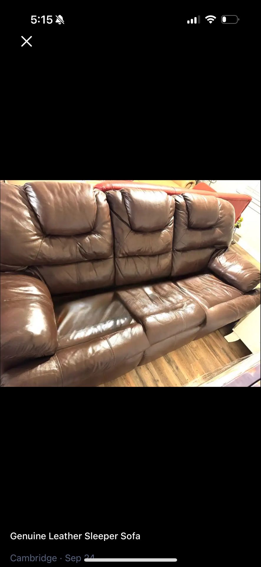Genuine Leather Sleeper Sofa