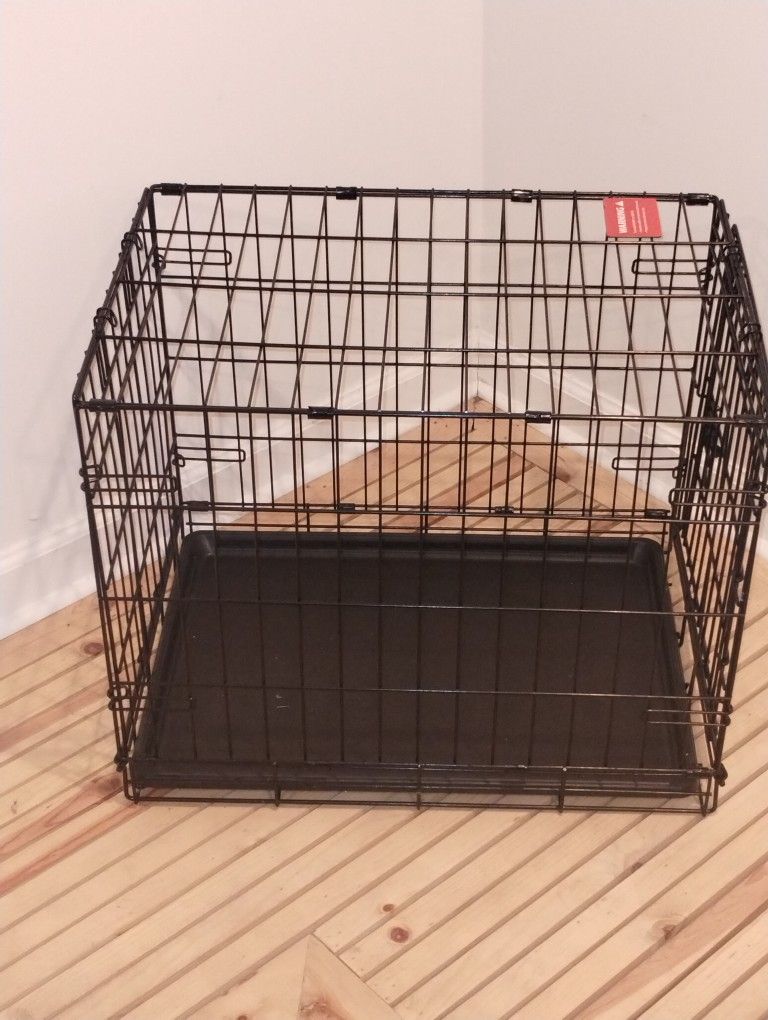 Pet Accessories