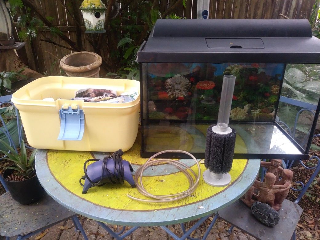 10 gallon aquarium