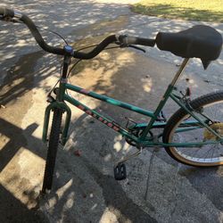 Raleigh, 26”, Girls Cruiser Bicycle 