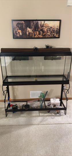 55 gallon fish tank