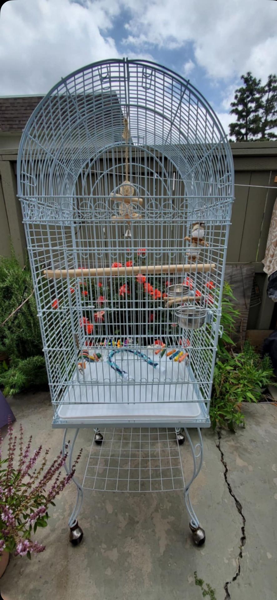 Large bird cage