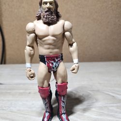 WWE Daniel Bryan Action Figure