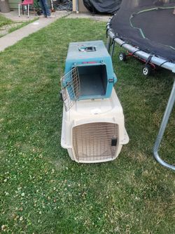Dog Kennel