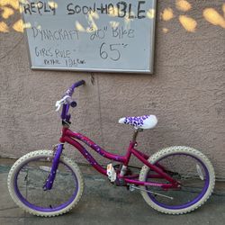 Dynacraft Bike Like New