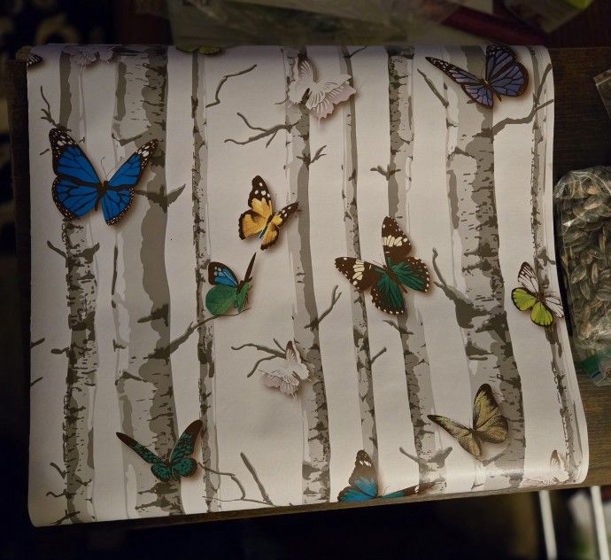 Butterfly Contact Paper