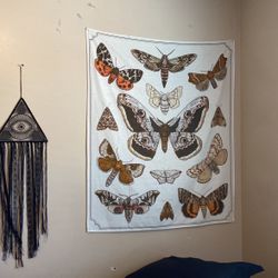 Moth Tapestry and Dreamcatcher 