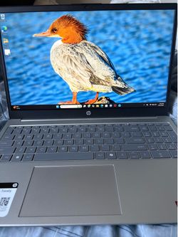 Hp 15.6 touchscreen laptop