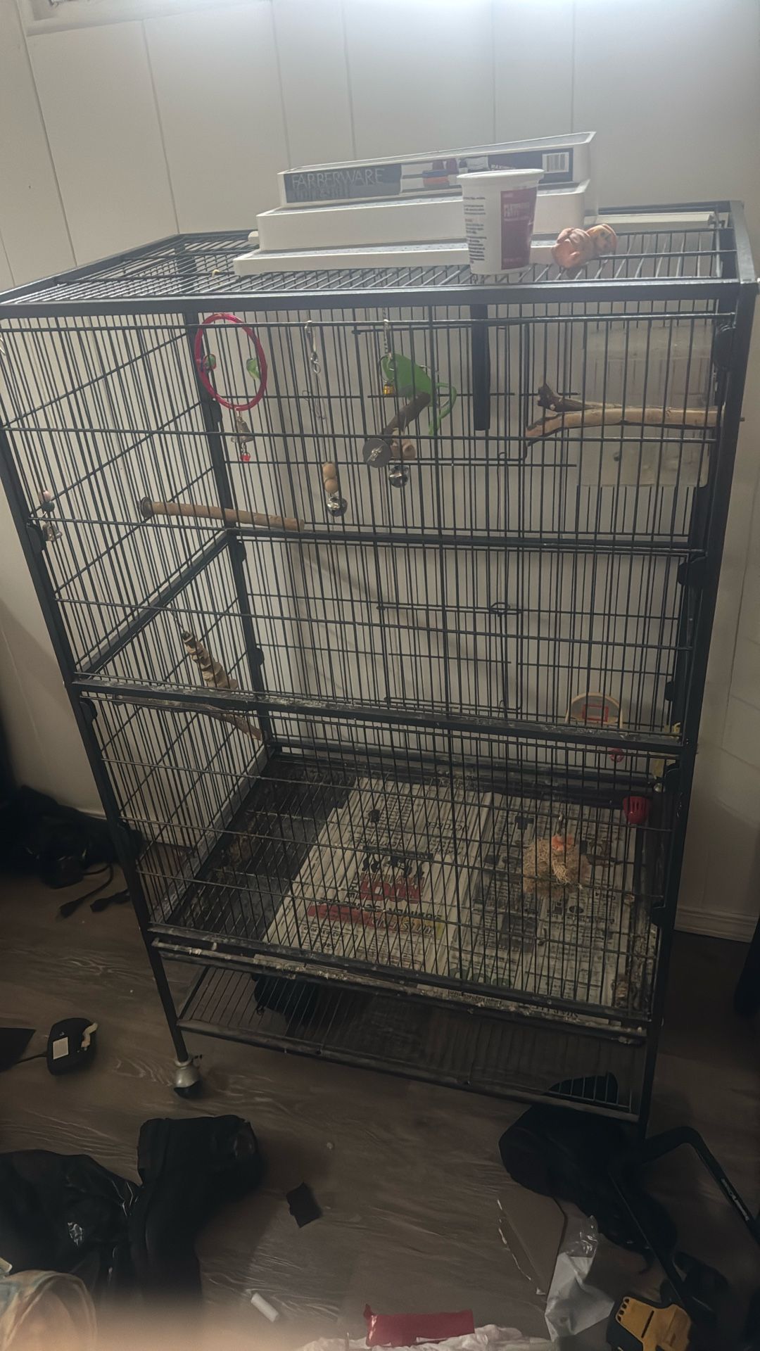 Bird Cage W Accessories