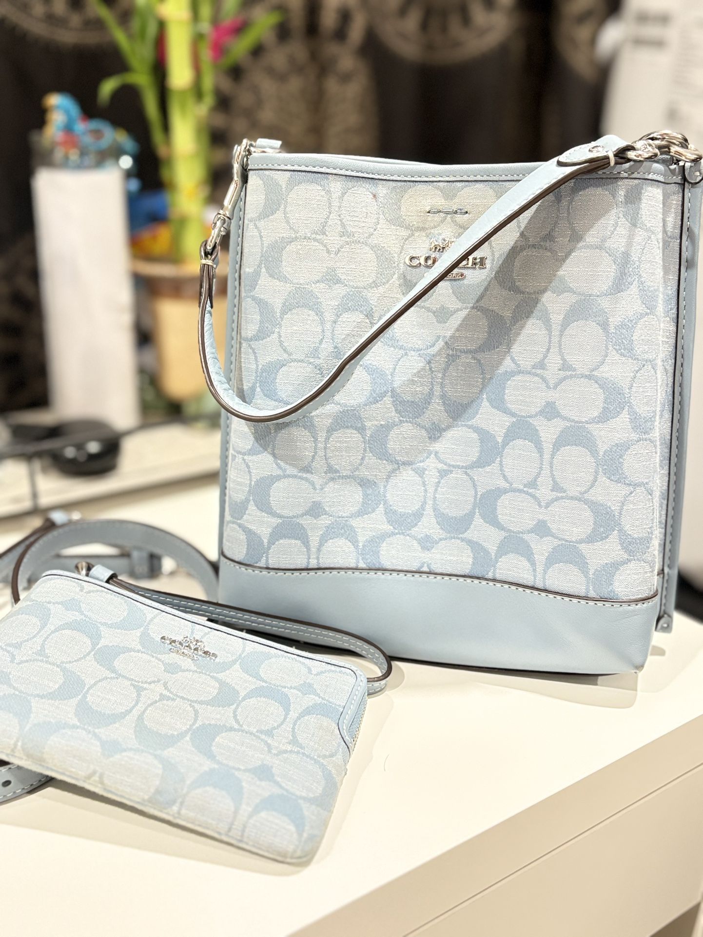 Coach Purse And Pouch