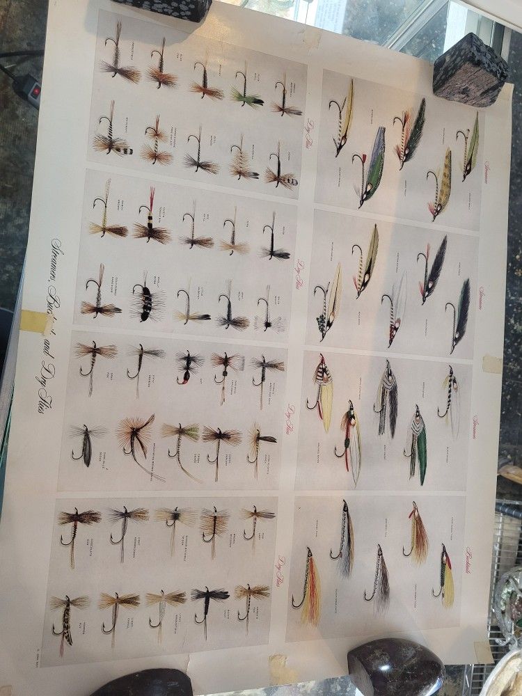 Fly Fishing Tying Posters 1954 Set Of 3
