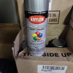 Krylon Metallic  Aluminum paint plus primer.