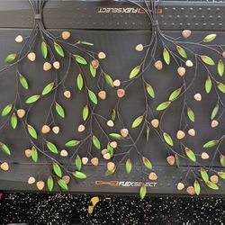 wall decoration