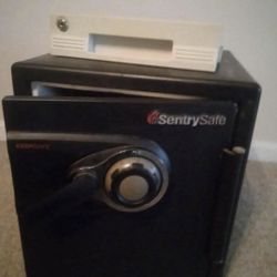 Sentry Safe -Fireproof/Waterproof
