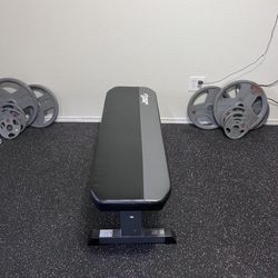  Bench and weights 
