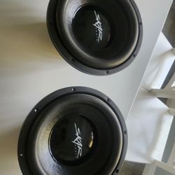 2 Skar Audio 10 Inch Subwoofers